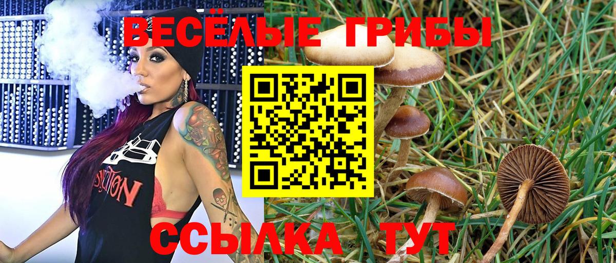 Псилоцибиновые грибы прущие грибы  Галлюциногенные грибы GOLDEN TEACHER  Зеленогорск  Вход с VPN 